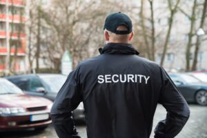 professional security services