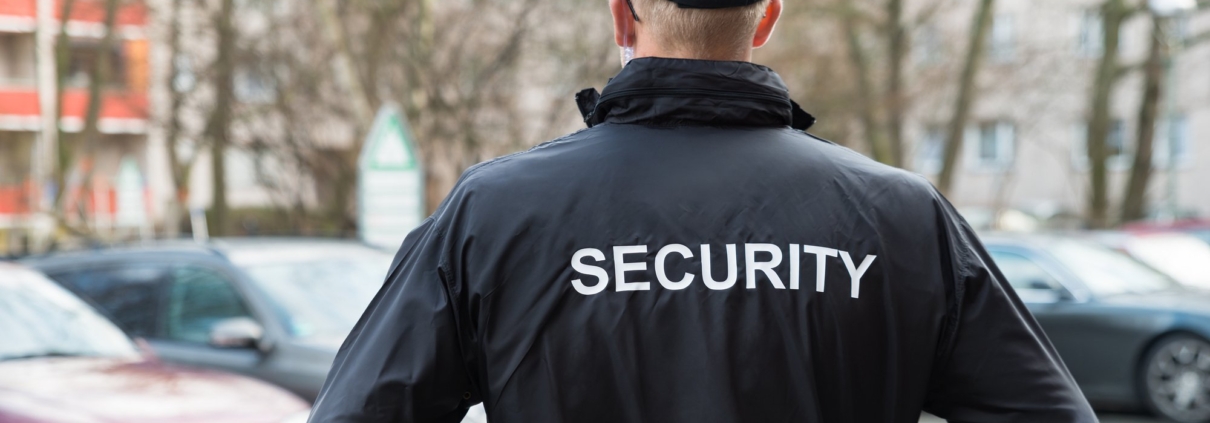 professional security services