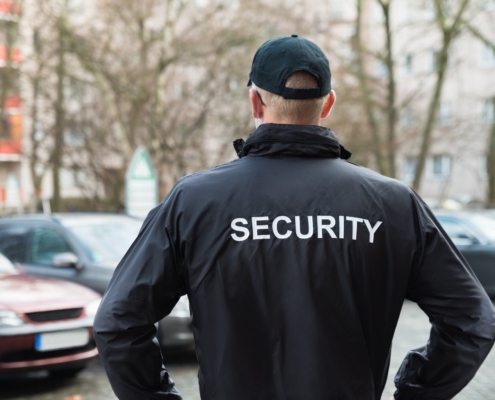 professional security services