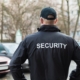 professional security services