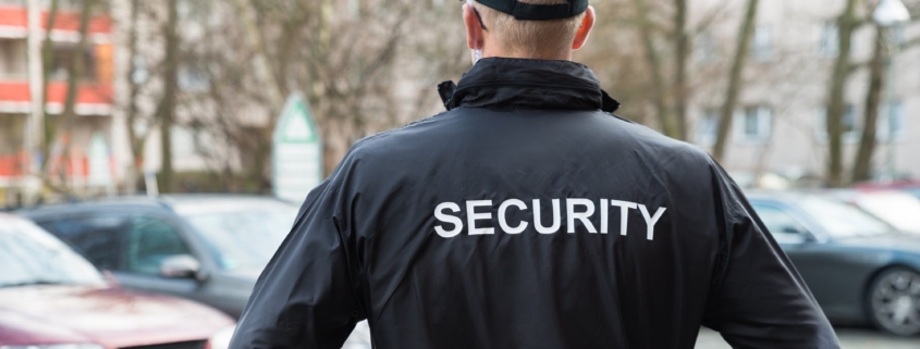 professional security services