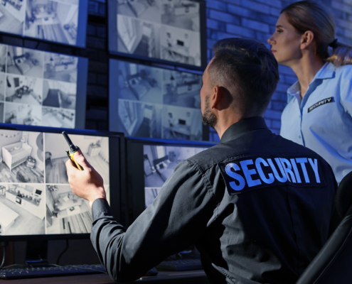 Two workers looking at security camera feed
