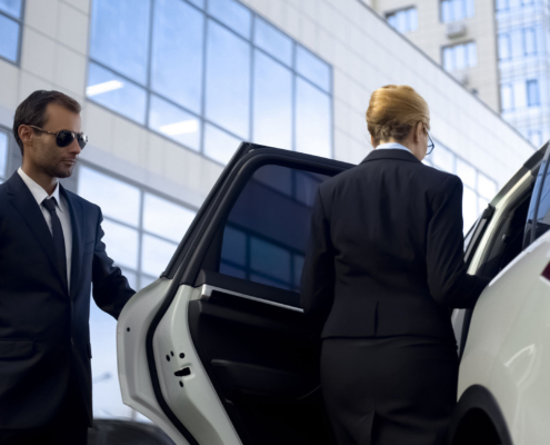 Professional security for executive